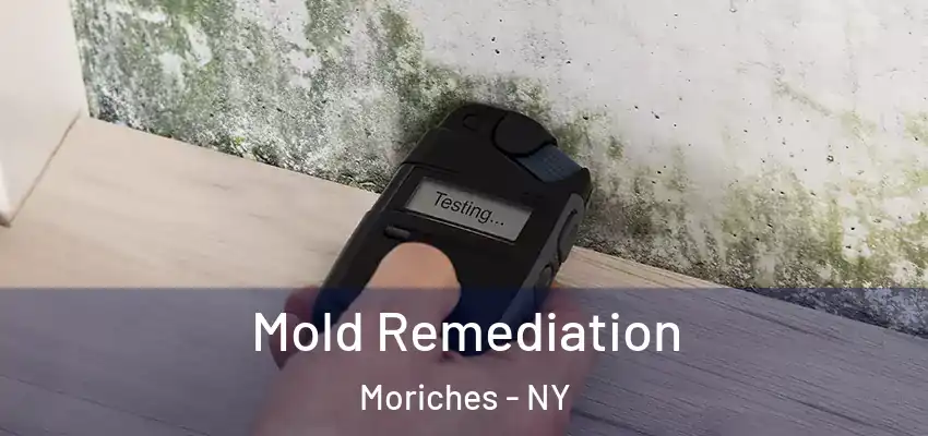  Mold Remediation Moriches - NY
