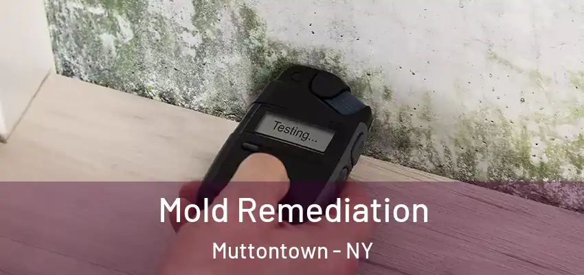 Mold Remediation Muttontown - NY