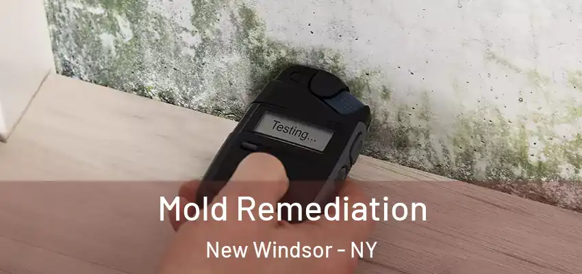  Mold Remediation New Windsor - NY