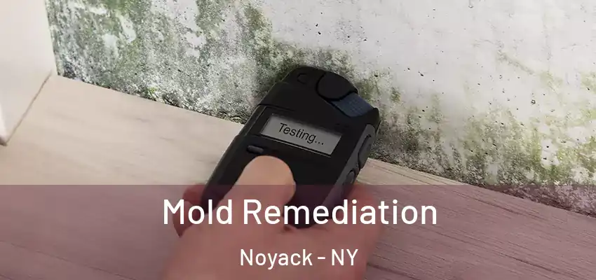 Mold Remediation Noyack - NY