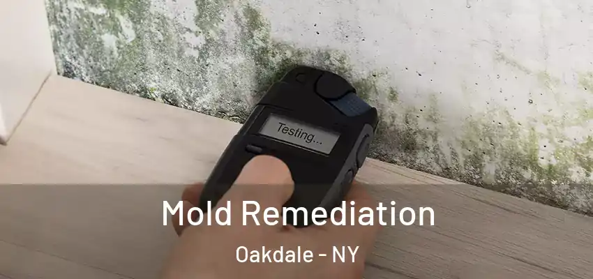 Mold Remediation Oakdale - NY