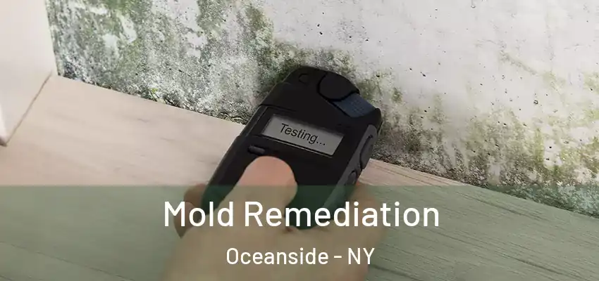 Mold Remediation Oceanside - NY