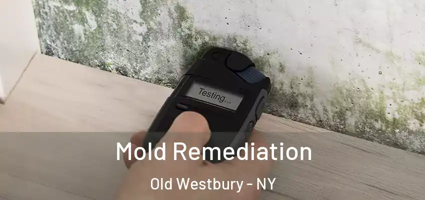  Mold Remediation Old Westbury - NY