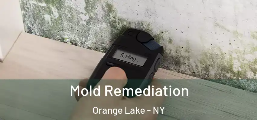  Mold Remediation Orange Lake - NY