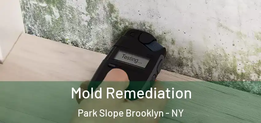  Mold Remediation Park Slope Brooklyn - NY