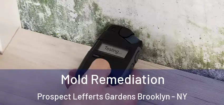  Mold Remediation Prospect Lefferts Gardens Brooklyn - NY