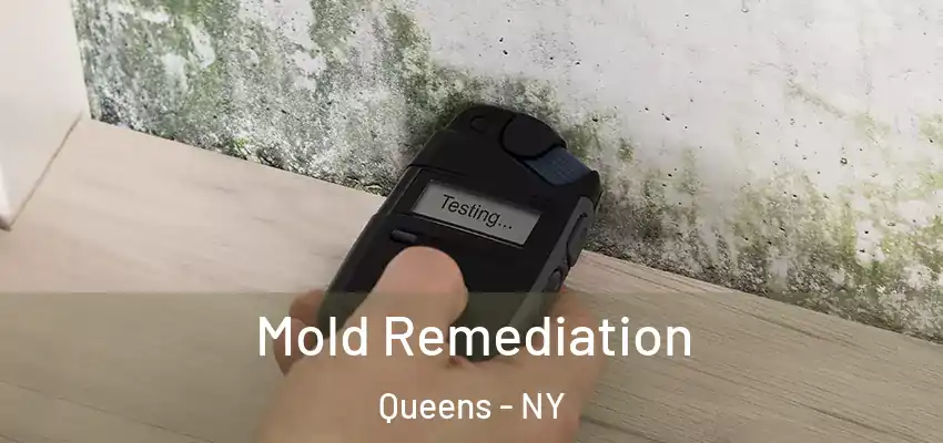 Mold Remediation Queens - NY