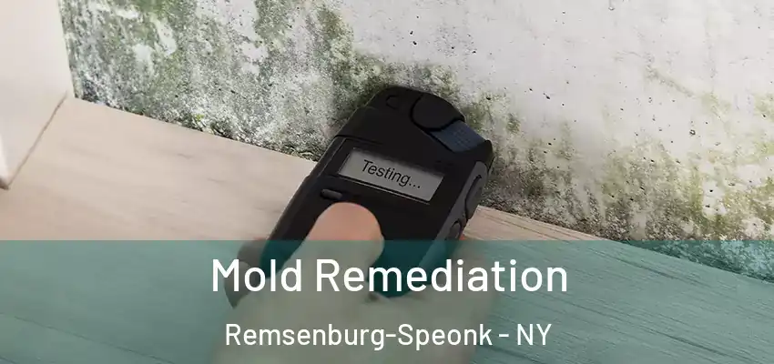  Mold Remediation Remsenburg-Speonk - NY