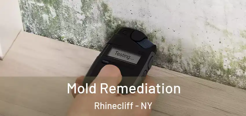 Mold Remediation Rhinecliff - NY