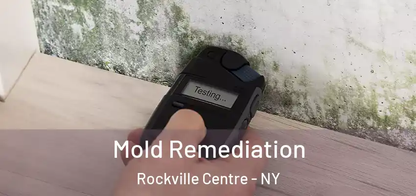  Mold Remediation Rockville Centre - NY