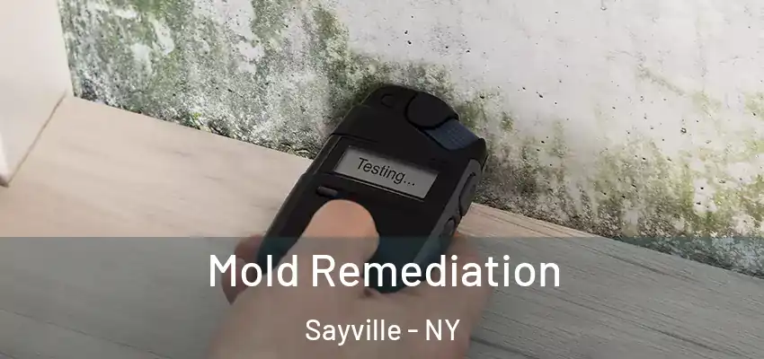  Mold Remediation Sayville - NY