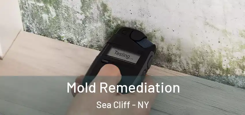  Mold Remediation Sea Cliff - NY