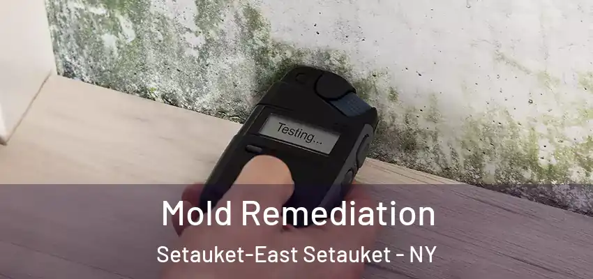  Mold Remediation Setauket-East Setauket - NY