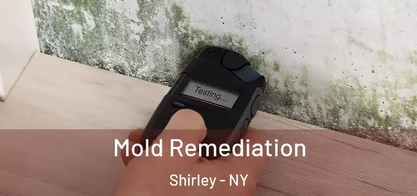  Mold Remediation Shirley - NY