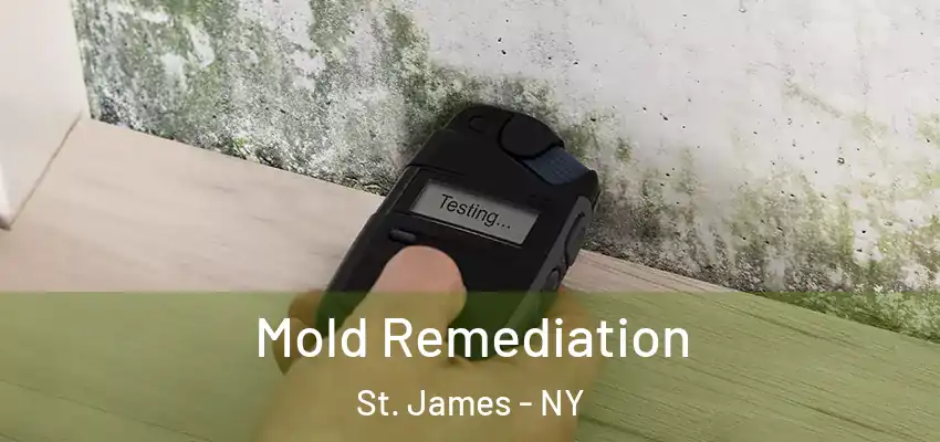 Mold Remediation St. James - NY