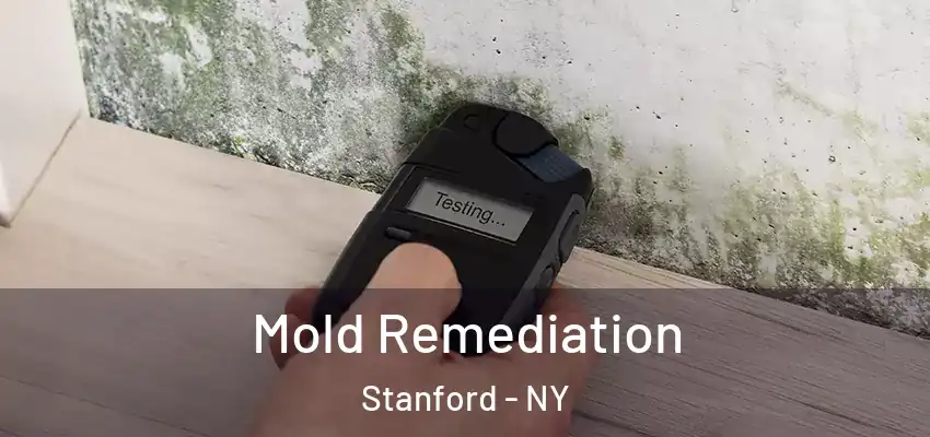  Mold Remediation Stanford - NY