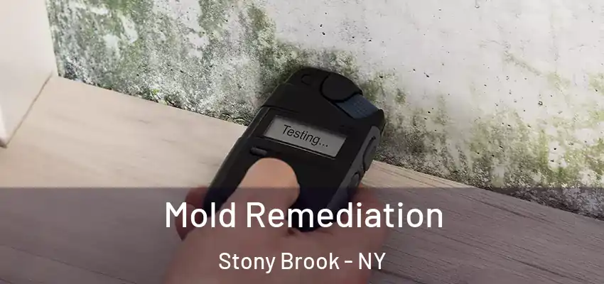  Mold Remediation Stony Brook - NY