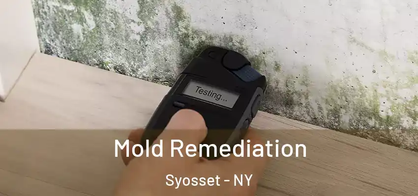  Mold Remediation Syosset - NY