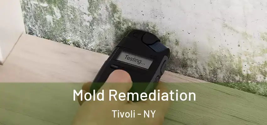  Mold Remediation Tivoli - NY
