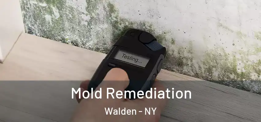 Mold Remediation Walden - NY