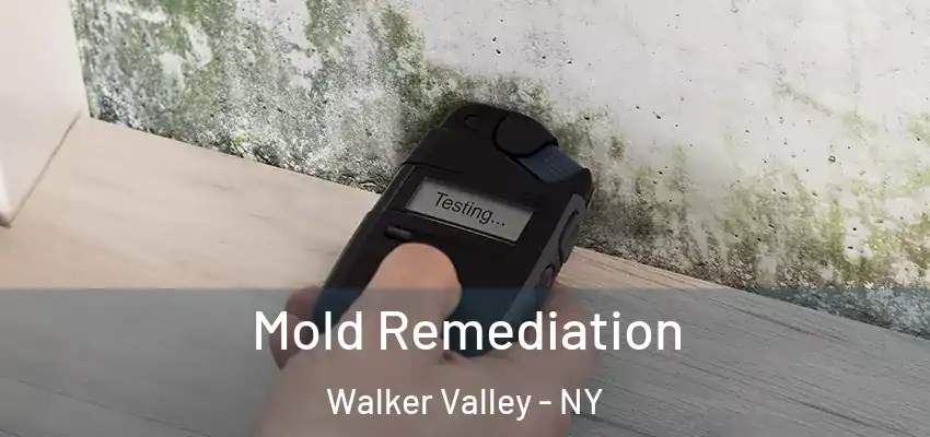 Mold Remediation Walker Valley - NY