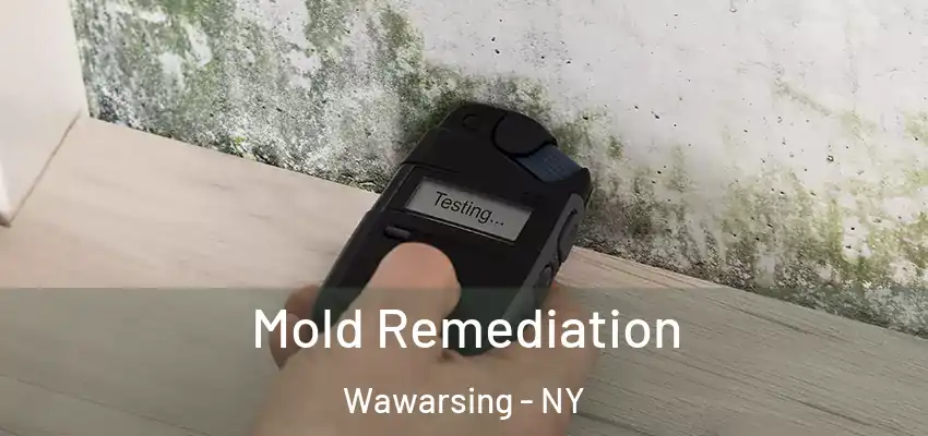 Mold Remediation Wawarsing - NY
