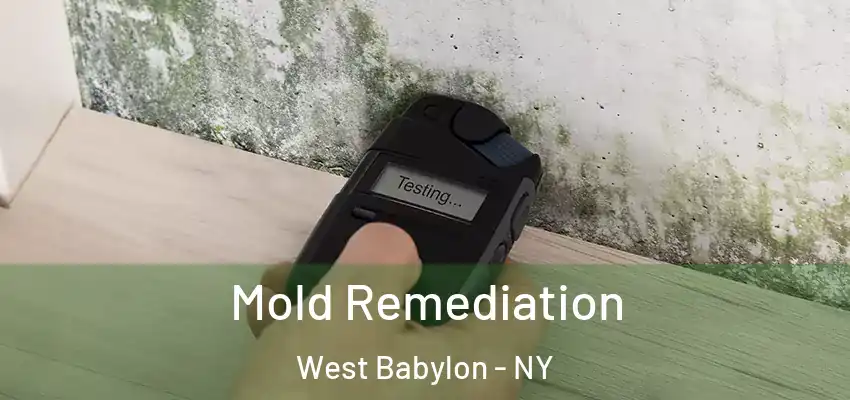 Mold Remediation West Babylon - NY