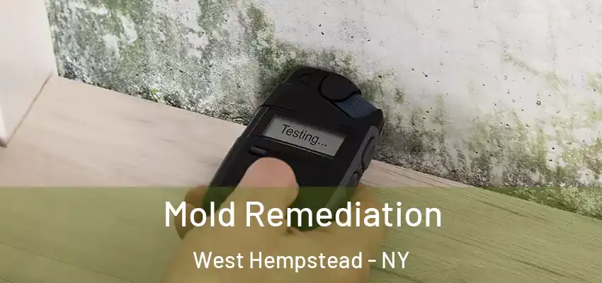  Mold Remediation West Hempstead - NY
