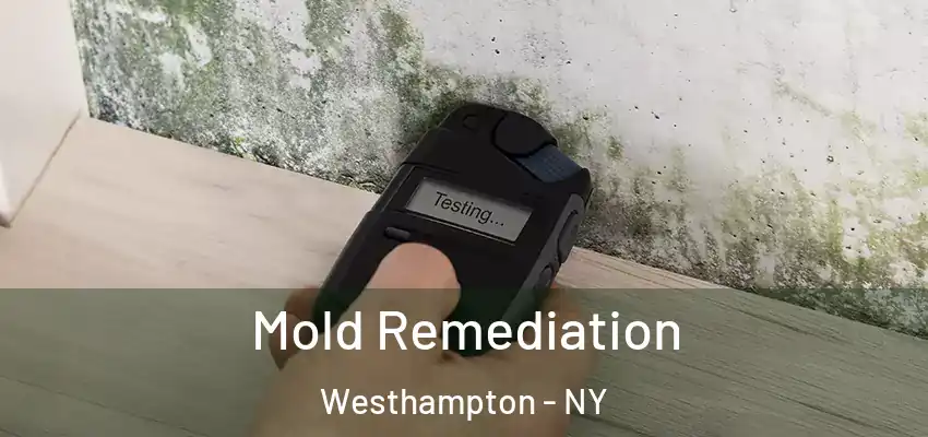 Mold Remediation Westhampton - NY