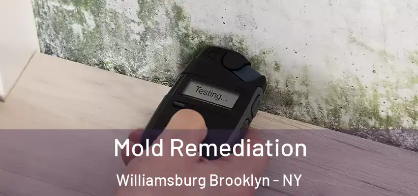  Mold Remediation Williamsburg Brooklyn - NY