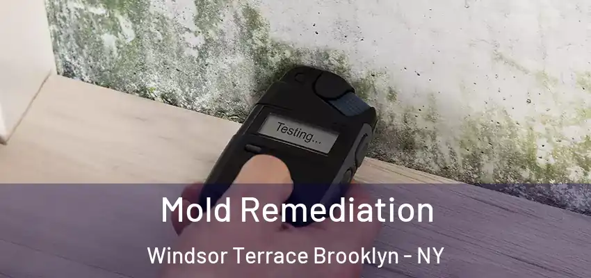  Mold Remediation Windsor Terrace Brooklyn - NY