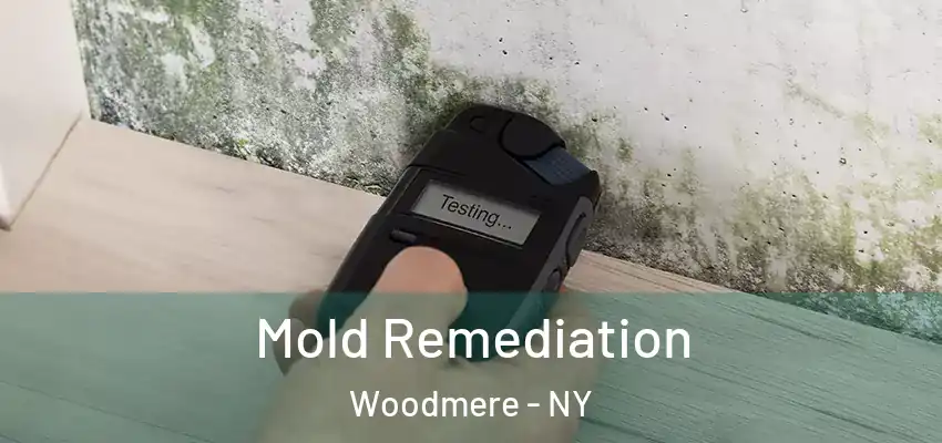  Mold Remediation Woodmere - NY