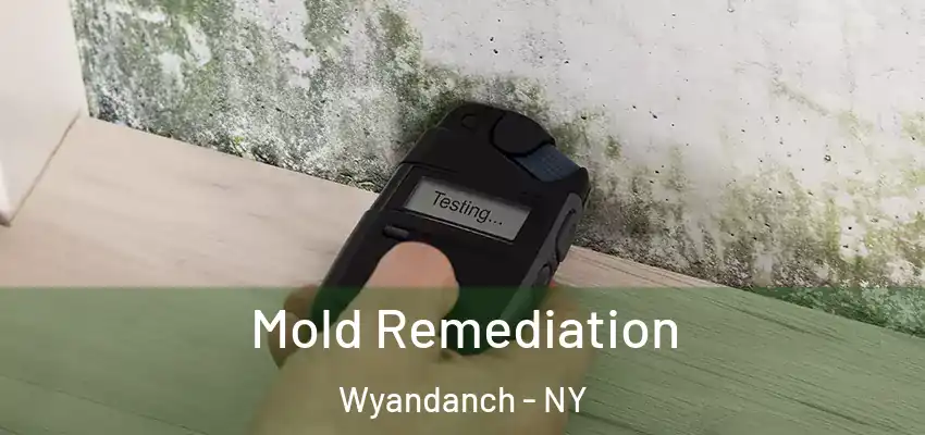  Mold Remediation Wyandanch - NY