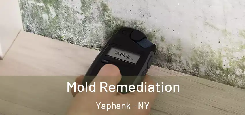Mold Remediation Yaphank - NY