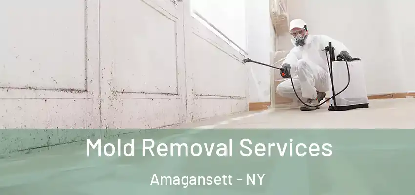  Mold Removal Services Amagansett - NY
