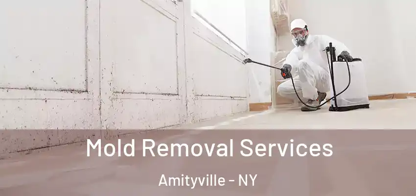  Mold Removal Services Amityville - NY