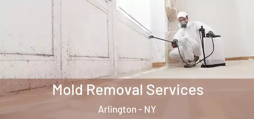 Mold Removal Services Arlington - NY