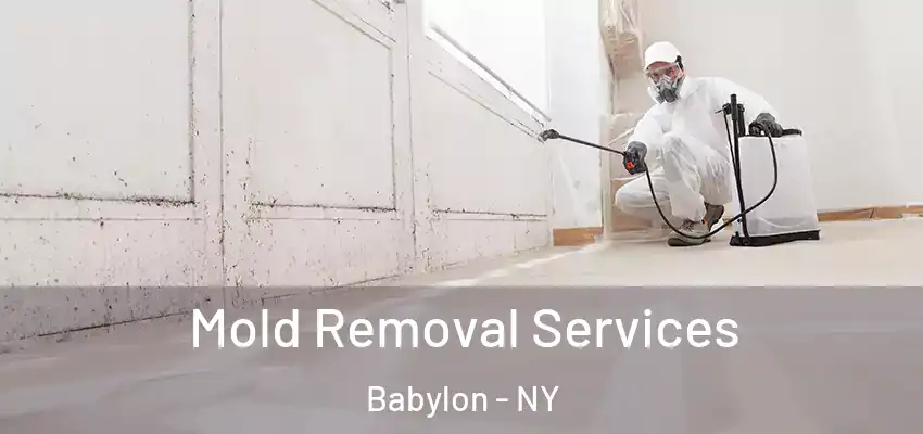  Mold Removal Services Babylon - NY