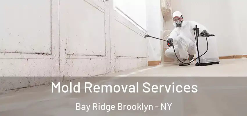  Mold Removal Services Bay Ridge Brooklyn - NY