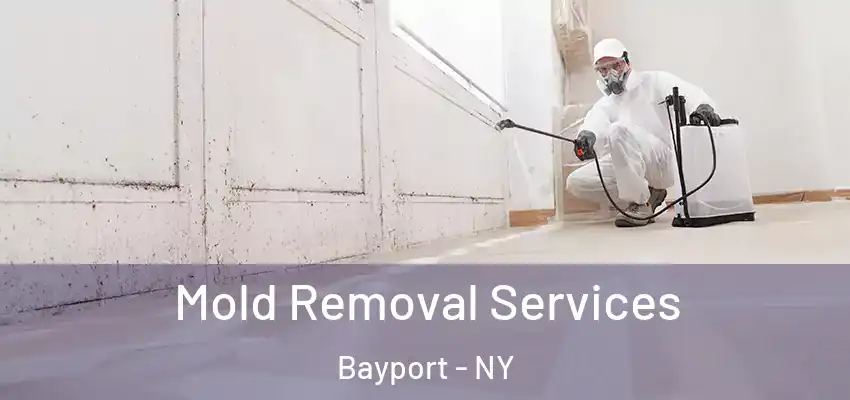 Mold Removal Services Bayport - NY