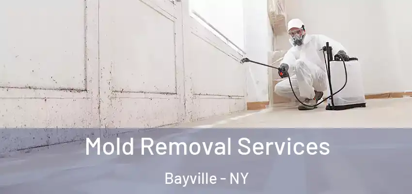  Mold Removal Services Bayville - NY