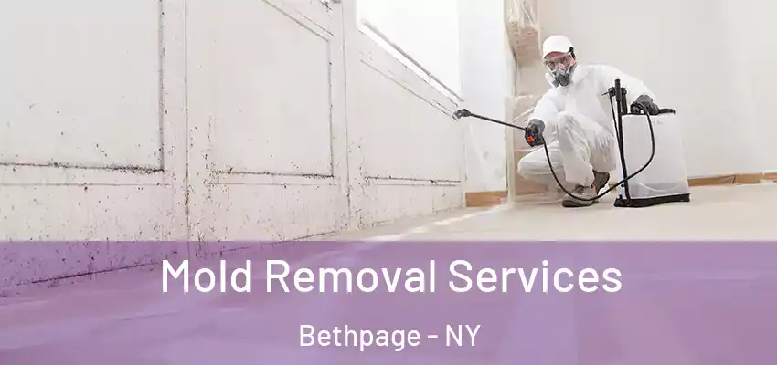  Mold Removal Services Bethpage - NY
