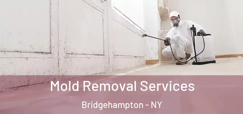  Mold Removal Services Bridgehampton - NY