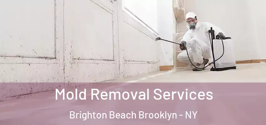  Mold Removal Services Brighton Beach Brooklyn - NY