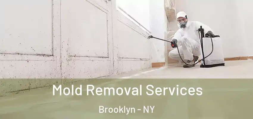  Mold Removal Services Brooklyn - NY