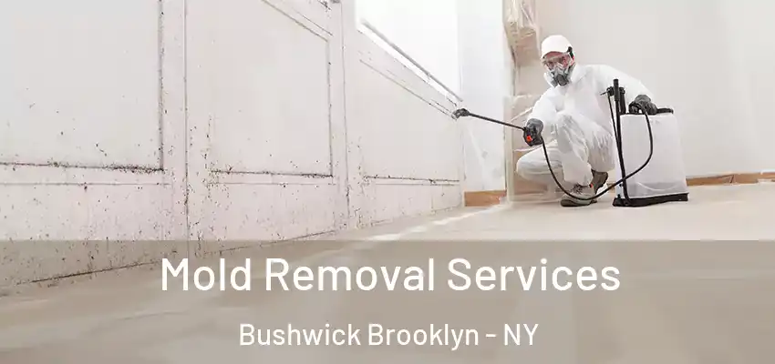 Mold Removal Services Bushwick Brooklyn - NY