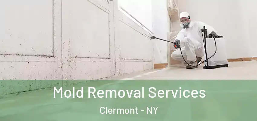 Mold Removal Services Clermont - NY