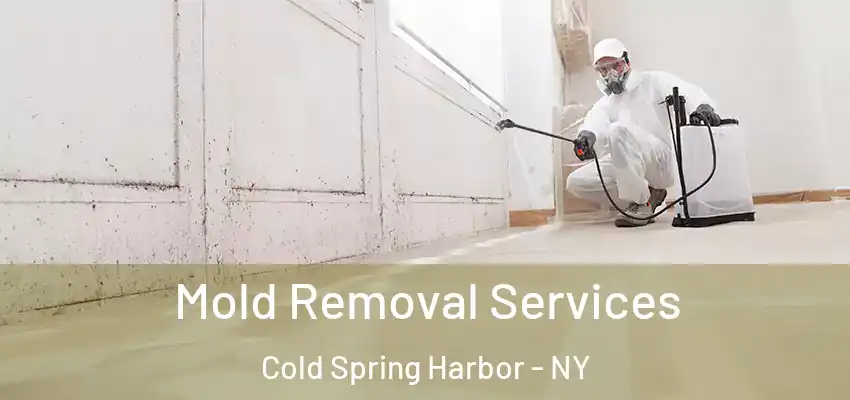 Mold Removal Services Cold Spring Harbor - NY
