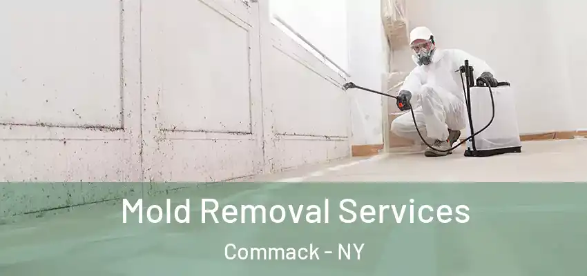  Mold Removal Services Commack - NY
