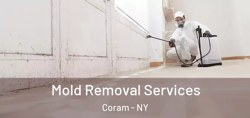 Mold Removal Services Coram - NY